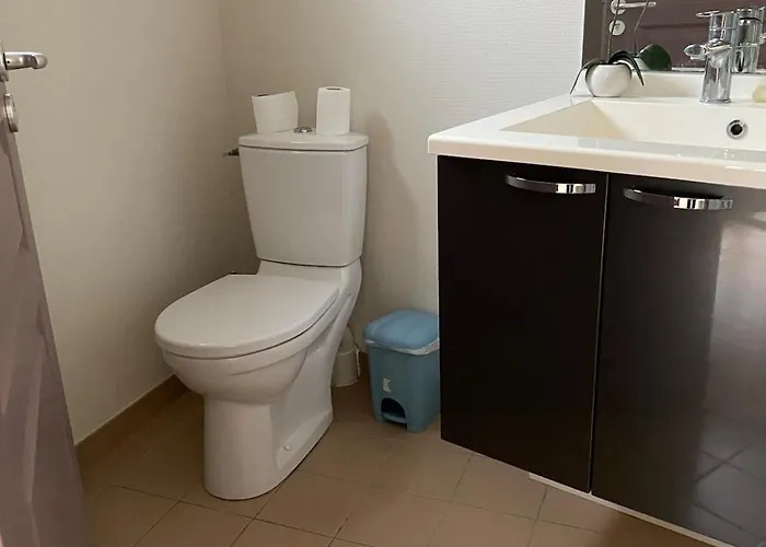 Au Bout Du Port Avec Balcon Et Terrasse *